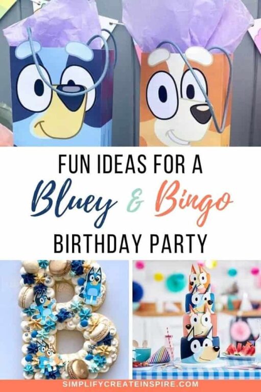 Boy Birthday Party Theme Ideas At Home