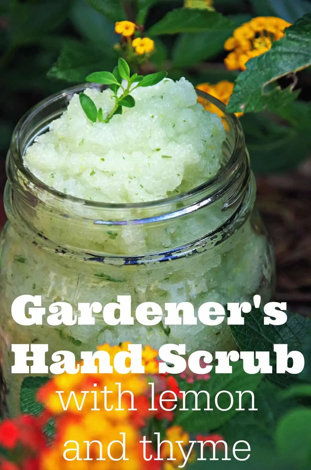 Gardener's hand scrub with lemon and thyme.