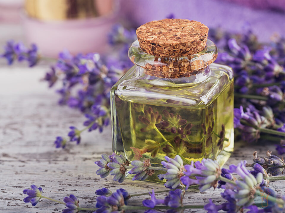 diy-essential-oil-recipe-for-pain-and-inflammation