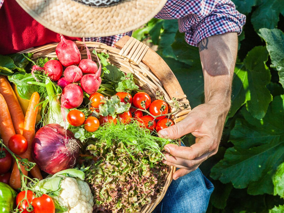 Grow Up! 7 Vertical Gardening Tips for Foodies