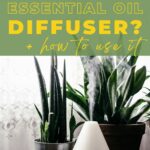 What is an essential oil diffuser? Plus how to use it.