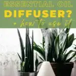 What is an essential oil diffuser? Plus how to use it.