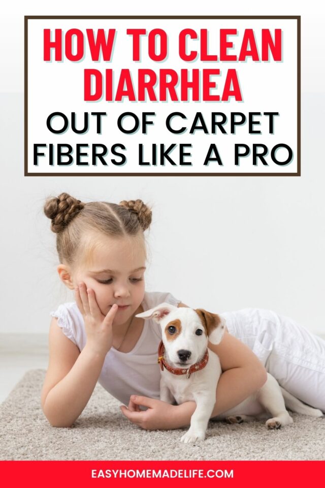 How to Clean Diarrhea Out of Carpet Fibers Like a Pro