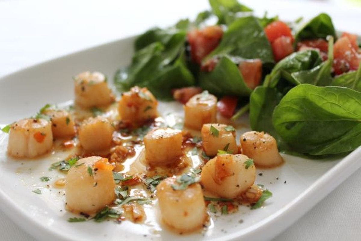 Scallops on a white plate with a salad on the side.