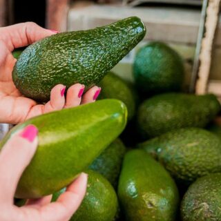 Hands with pink nails holding two avocados, one in each hand, over a display of more avocados.
