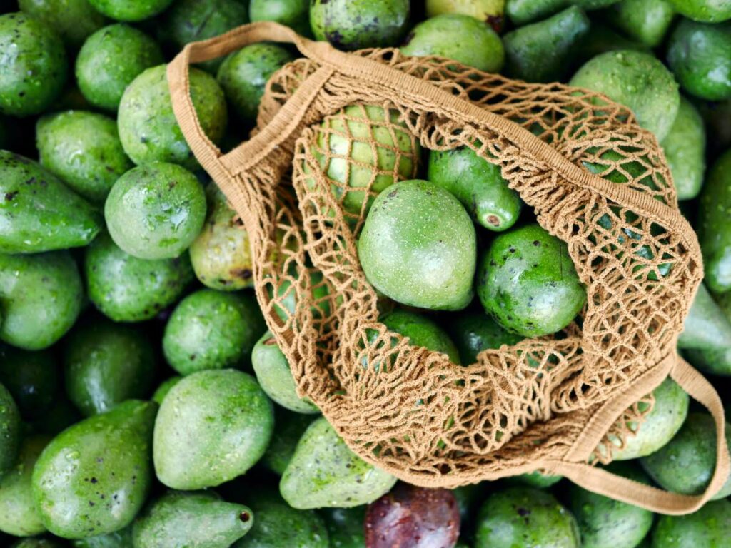 A mesh bag filled with green avocados rests on top of a larger pile of avocados.