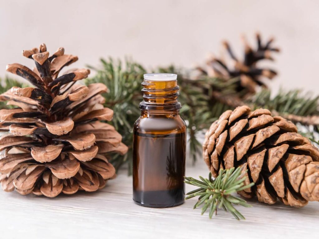 A small amber glass bottle with a white lid is surrounded by pine cones and evergreen branches on a white surface.