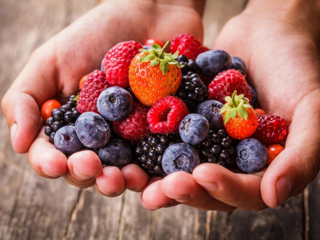 Hands holding an assortment of fresh berries including strawberries, raspberries, blueberries, and blackberries on a wooden surface.