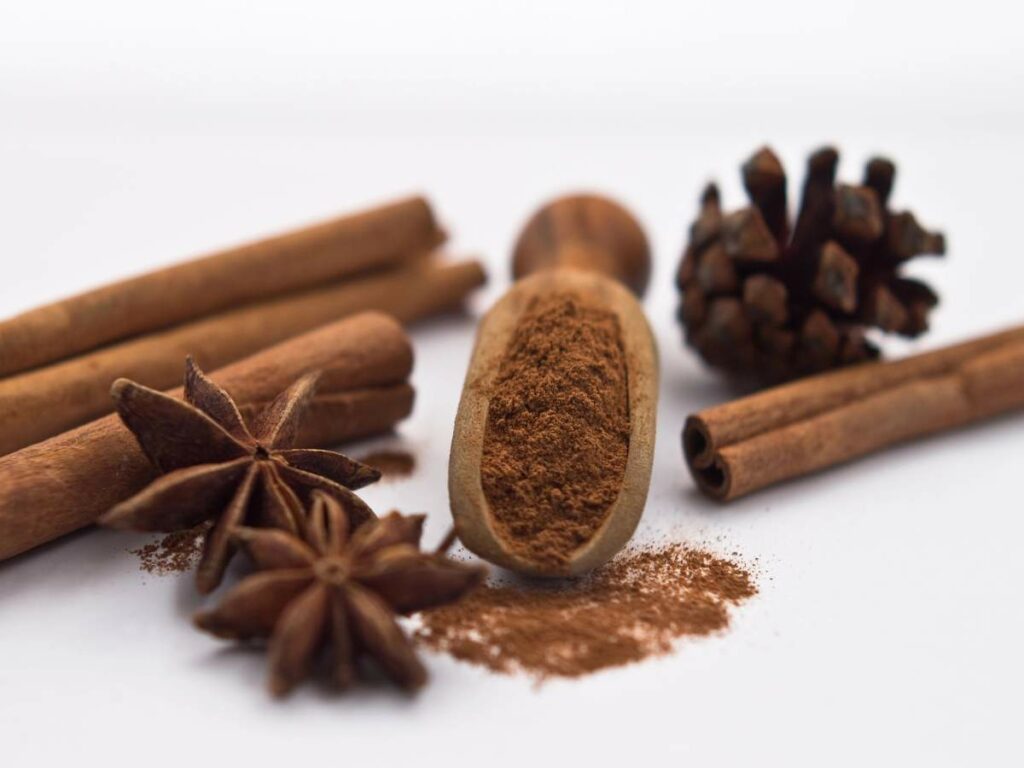 Ground cinnamon in a wooden scooper, surrounded by cinnamon sticks, star anise, and a pine cone on a white surface.