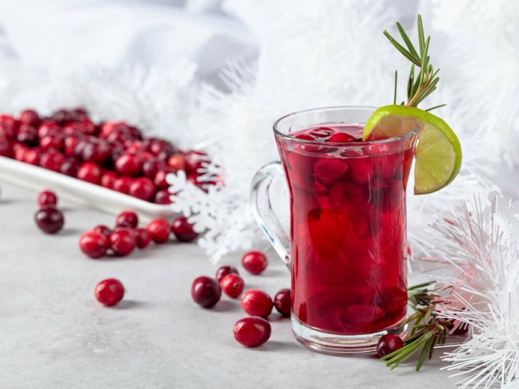 A glass of cranberry juice with ice, garnished with a lime slice and rosemary sprig.