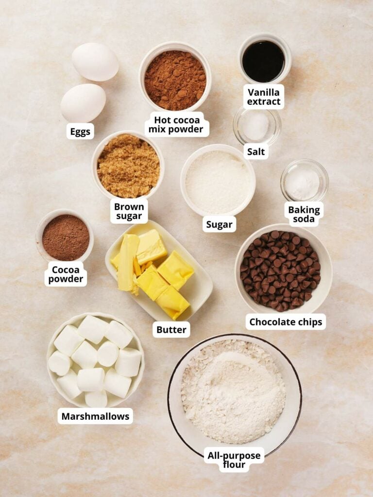 Ingredients for hot chocolate cookies on a light colored surface, each labeled.