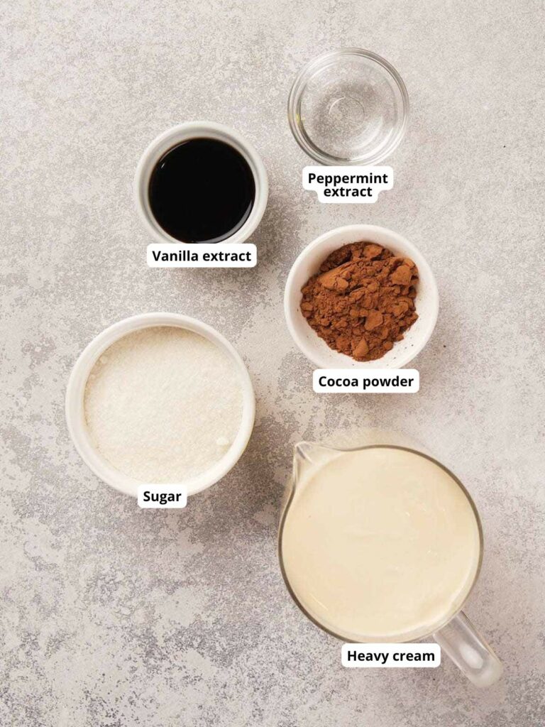 Ingredients for peppermint mocha coffee creamer on a textured surface.