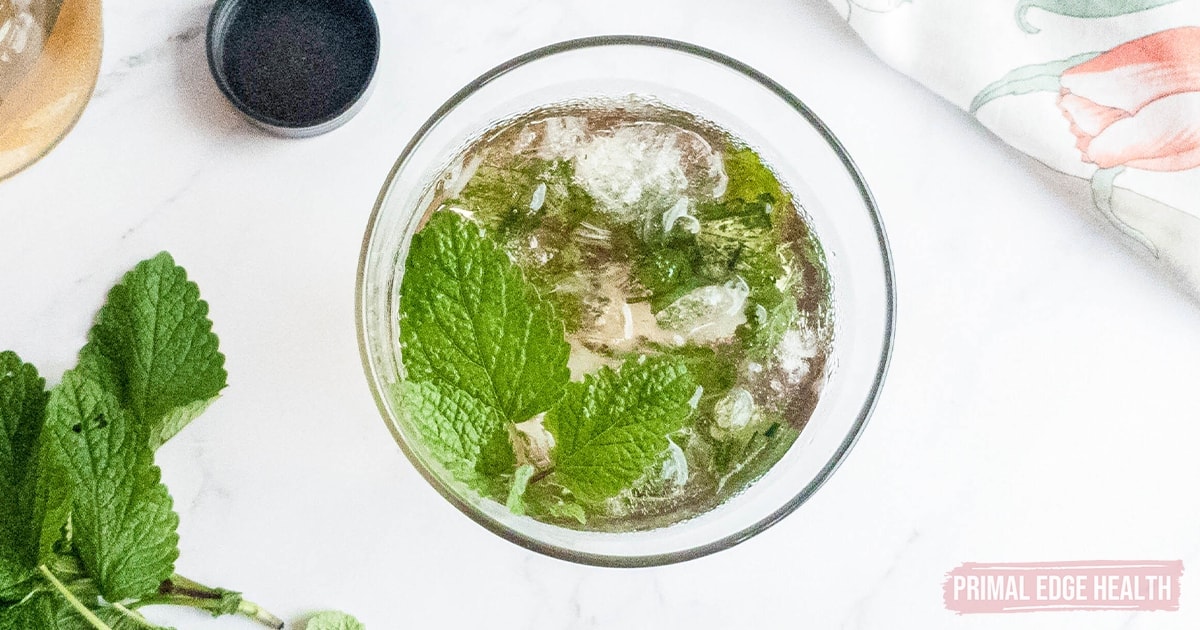 Sugar-free mint julep in glass with ice and fresh mint.